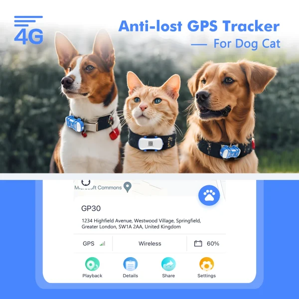 4G Pet GPS Tracker with App & Live Tracking