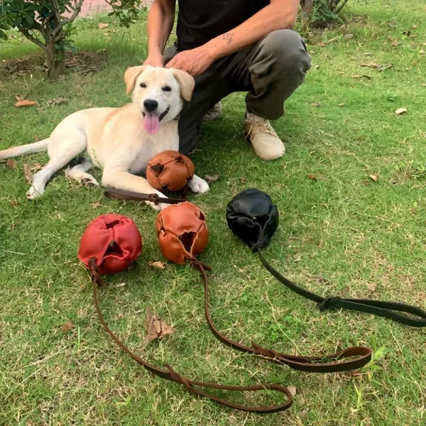 Leather Dog Training Ball with Handle – Tug, Fetch & Reward Toy