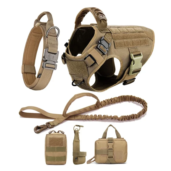 Large Dog Harness & Leash Set for Training and Walking